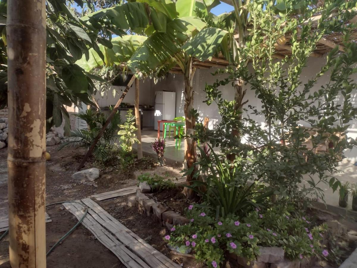 Flying Monkey Hostel Nazca Exterior foto